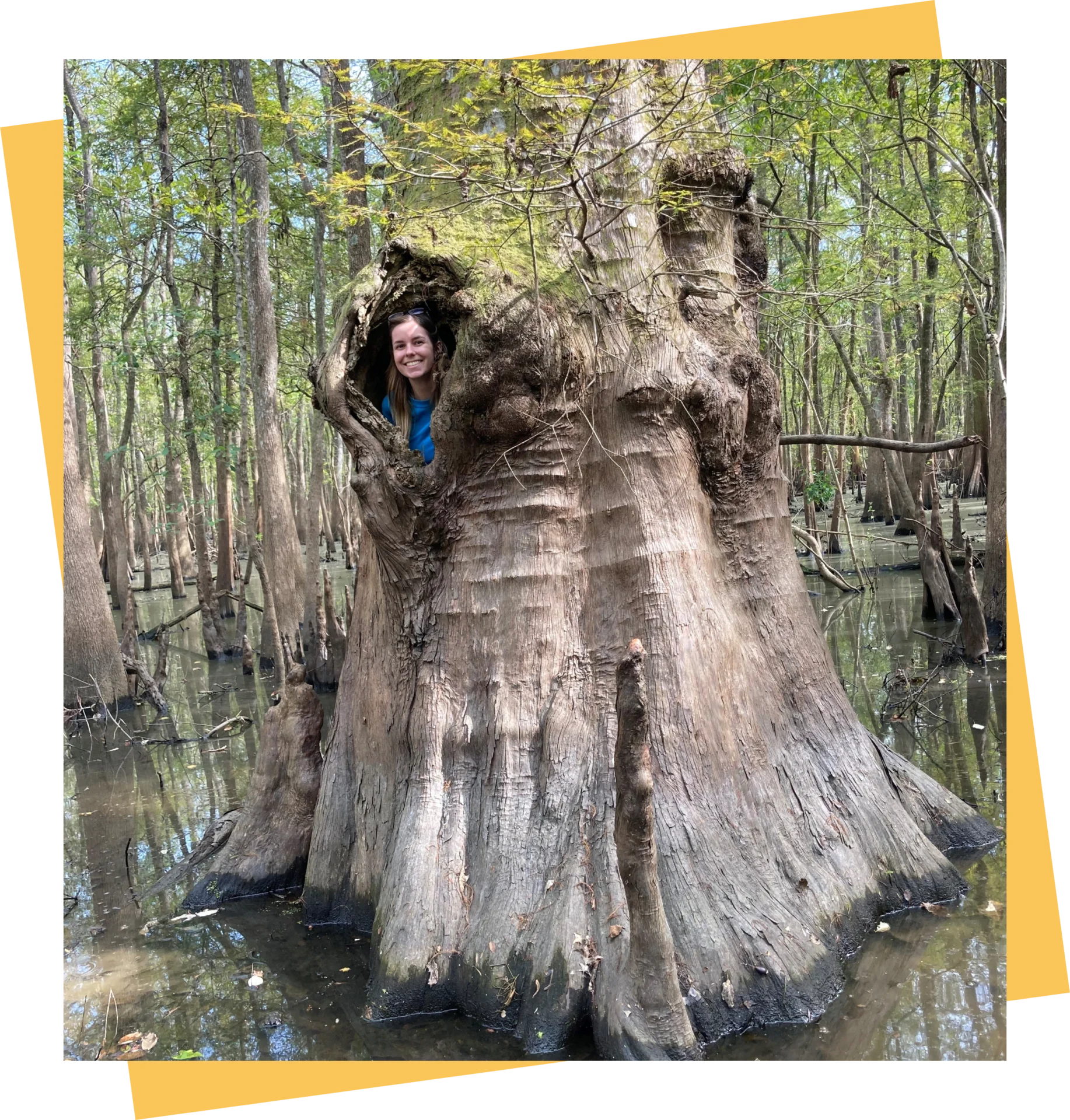 A lady peeking from a hole in the tree