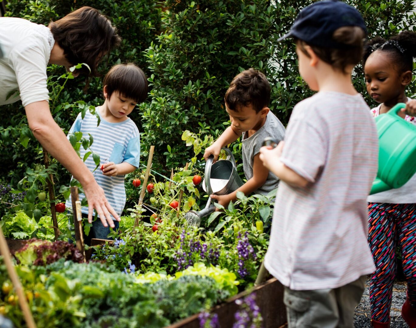 Teacher and kids school learning ecology gardening